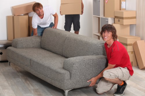 Careful loading of protected household items into a removal vehicle