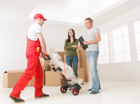 Professional van moving support in Roehampton